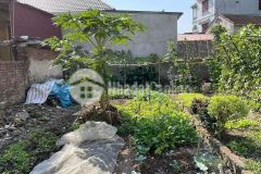 980 triệu, ngọc quỳnh như quỳnh, cần bán gấp, cực đẹp