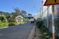 Ban lô goc măt tiên đương trân đai nghia p8 đa lat