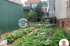 Lô góc 96m2 sáp mai võng la đông anh cạnh hồ điều hoà giá 3xtrm2, 0886119248.