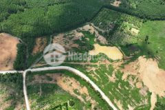 Cần bán 8,6 mẫu đất châu đức, suối rao