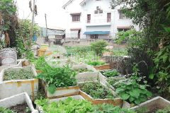 Bán lô đất gần 500m2 tại đường song hành quận 2 chỉ 195 triệum2