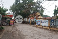 Bán đất cạnh trường c3 văn lâm, kinh doanh thoải mái, 220m