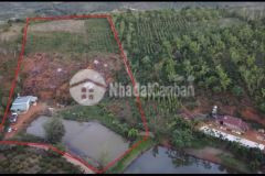 Chính chủ bán rẫy cà phê 1,6 hécta, view hồ, có nhà cấp 4