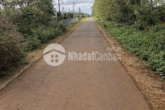 Hoà đông 1 lô duy nhất 6x23 tc 60 giá 299tr chốt. khách cần ib em ạ. lh 0944487676 gặp hưng