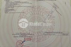 Sở hữu nền đất 556m² ngang 9x57 chỉ 1xx triệu