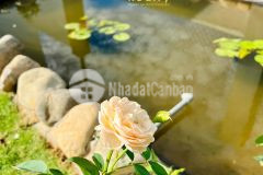 Nhà vườn xinh xắn 550m2 cách ngã sáu 9.5km thổ cư 190m2 chỉ 1,950 tỷ