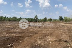 Vừa có đất đã có lời chỉ với 399tr có ngay 3 lô đất