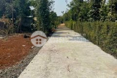 Hàng nóng.... lốc 4 lô eadrong giá sỉ cho