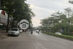 Bán nhà riêng võ chí công cầu giấy 19,5 tỷthương lượng,mua bán nhà riêng cầu giấy