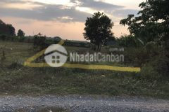 Chờ xuất bảncần bán gấp đất ngộp gần kcn hiệp thạnh 1km 5m x 66m 330m2 chỉ 520tr còn tl