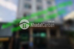 Tòa căn hộ dịch vụ 52 phòng, 12x18m, 9 tầng, đường số kdc tân quy, quận 7