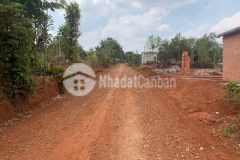 2 lô liền kêc eamroh cư mgar diện tích 5 x 50 thổ cư 60 giá 145 tr chốt đường