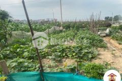 Bán đất 100m2 lô góc đường yên xuân nộn đông anh đường ô tô nhỉnh 2,5 tỷ lh 0886736116.