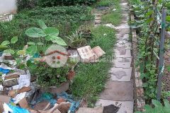 Bán 442m đất full thổ cư mặt phố thạch bàn long biên