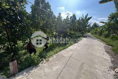 Chủ gửi bán nền cln 150,5m² đường 3m phường tân phú, cái răng, tp. cần thơ