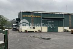 Cho thuê kho, xưởng tại thiện kế. bình xuyên. vĩnh phúc