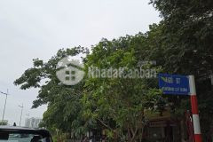 Bán đất đường lý sơn, ngọc thuỵ, long biên, dt 68m², mt 7m, giá 4.7 tỷ, ô tô, chia lô.