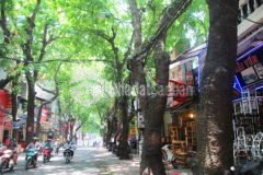 Tôi cần bán gấp mảnh đất rộng 100m2 8 tỷ đê la thành giá, sđcc