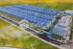 Chuyển nhượng đất cn tại thường tín. hà nội.