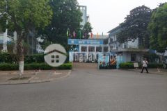 Phân lô phố trường lâm kinh doanh văn phòng an sinh cực đỉnh mặt tiền rộng