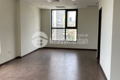 Luxury park 48m2, cơ bản làm vp rèm, điều hòa 9 triệu