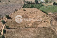 Bán gấp lô đất mt đường sỏi chỉ 275 triệu, gần trường học, ubnd, safari