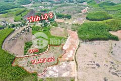 Bán đất khánh bình gần tỉnh lộ 8 hơn 1,1ha rộng rãi làm vườn