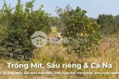 Gia đình em cần bán lô đất vườn tọa lạc tại tân châu, tây ninh, 10048m2