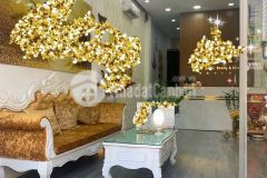 Cho thuê nhà nguyên căn 3tầng mặt tiền đường trần cao vân thích hợp mở spa