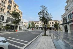 Bán shophouse sao biển vinhomes ocean park 93m2 6 tầng mt 8 mét giá rẻ nhất vhocp 0944523668