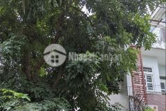 Bán nhà mt 297 đỗ xuân hợp,phước long b, quận 9,thủ đức bao đầu tư 78 m2 chỉ 7 tỷ.