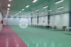 Cho thuê xưởng tại kcn tiên sơn. bắc ninh