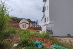 Đất kqh số 5 an sơn. giá chỉ 4050