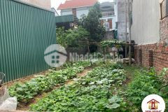 Bán 70m2 mt 5m thượng phúc bắc hồng đông anh ô tô tránh, lh 0886119248.