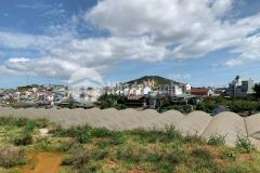 Gia đinh đinh cư nươc ngoai cân đê lai lô đât đep ơ p11 đa lat