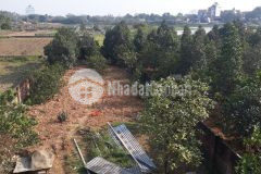 Chính chủ hợp tác thuê đất chương mỹ 550m2 giá 4,5trtháng. lh0376141793