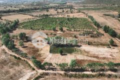 Bán vườn điều 20777m2 chỉ 150km2. trả trước 30 góp 18 tháng 0ls, đường ô tô, gần kdc