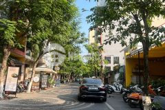 Cho thuê nhà nguyên căn mặt tiền đường khu phố đi bộ sầm uất