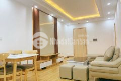 Cần bán căn hộ chung cư 2pn full nội thất mới, giá chỉ 1.3 tỉ tại kđt thanh hà cienco 5