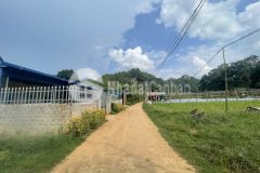 Cần cắt lỗ lô đất rộng 577m tại đông sang mội châu