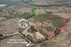 2ha vườn điều cln shr chính chủ, đường ô tô, gần ubnd hồng liêm