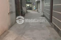 Bán gấp đất phố đàm quang trung, ô tô 7 chỗ, sát phố, 30m2 chỉ 2.7 tỷ