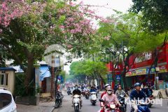 Nhà hiếm nở hậu 3 mặt thoáng mặt phố đội cấn giá 21,3 tỷ, 62m x 6tầng, sđcc