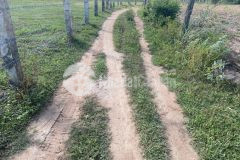 Bán 1285m2 đất vườn hồng liêm cách ql1a 700m, đối diện khu safari, gần ubnd, trường học, chợ