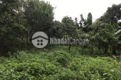 Đất nền mộc châu, mua 1 được 2, pháp lí chính chủ