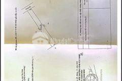 Gia đình kẹt ngân hàng cần bán đất,diện tích 5x50. 250 triệu