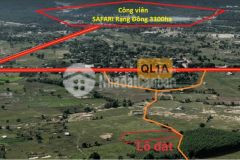 Bán 3000m2 đất hồng liêm, shr, cách ql1a 700m, có đường thể hiện trên sổ, gần ubnd, trường học, chợ