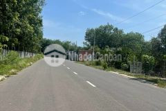 Chính chủ gồng lãi không nổi, hạ giá mạnh bán gấp 1 nền mặt tiền đường ngô tất tố, chơn thành, chỉ 4