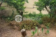 Bán đất mặt phố hoàng cầu 239m view hồ đống đa