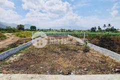 Đất đẹp thôn đông dinh, diên toàn, diên khánh 140.7m, giá 11.9 trm²